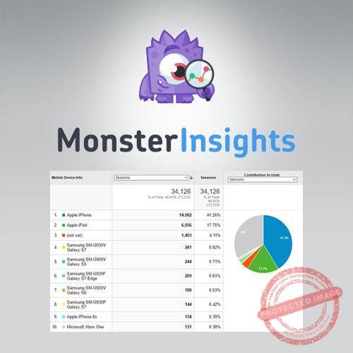 MonsterInsights – AMP Addon