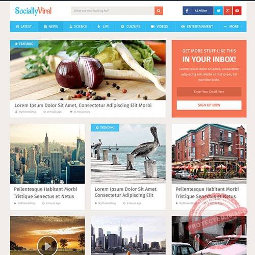 MyThemeShop SociallyViral WordPress Theme