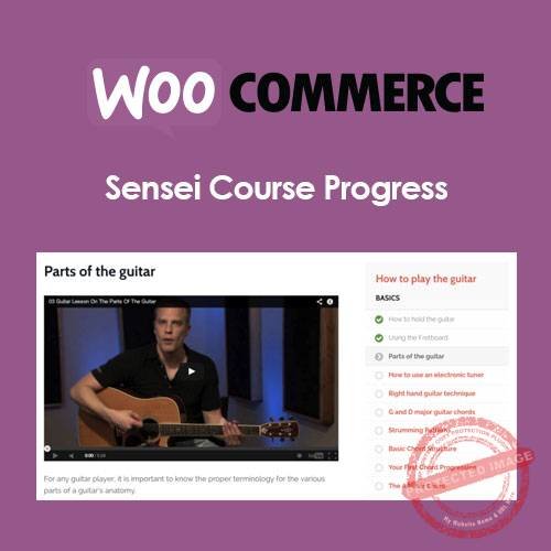 Sensei Course Progress