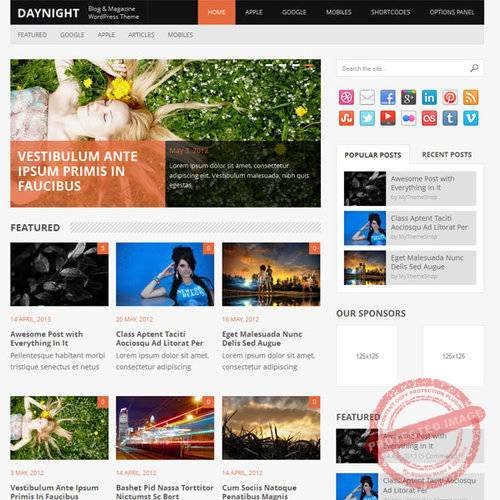 MyThemeShop Daynight WordPress Theme