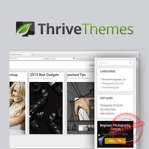 Thrive Clever Widgets