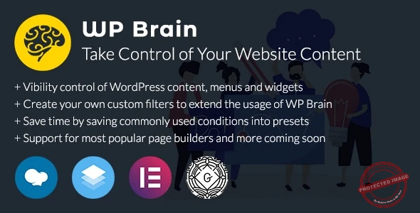 WP Brain – WordPress Logic Controller