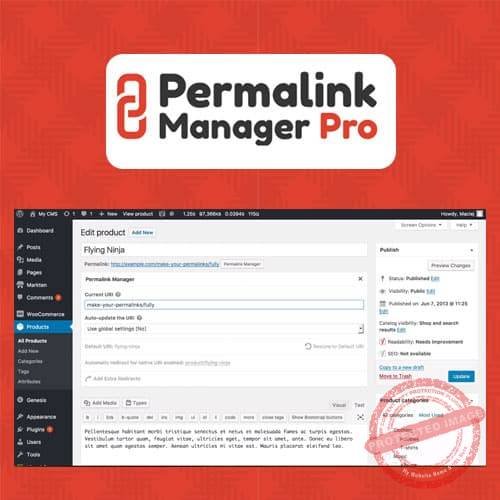 Permalink Manager Pro