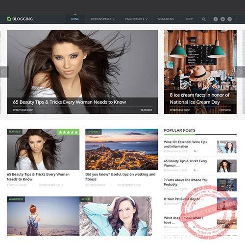 MyThemeShop Blogging WordPress Theme