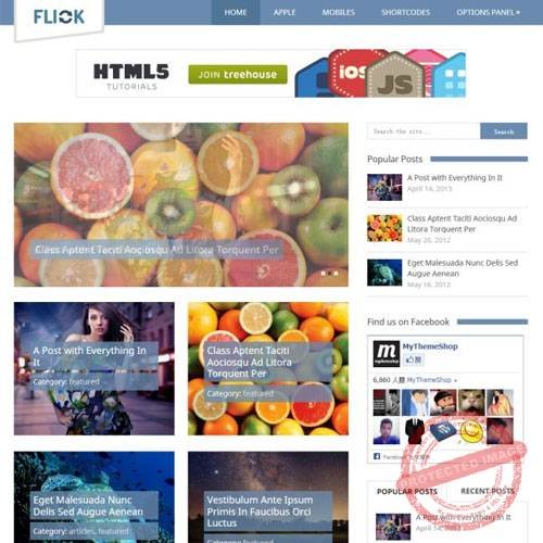 MyThemeShop Flick WordPress Theme