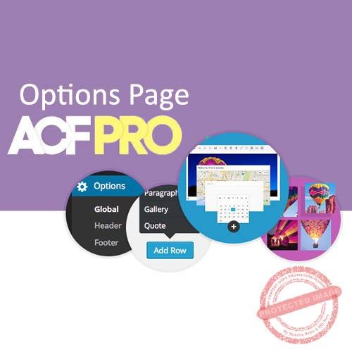 Advanced Custom Fields Options Page Addon