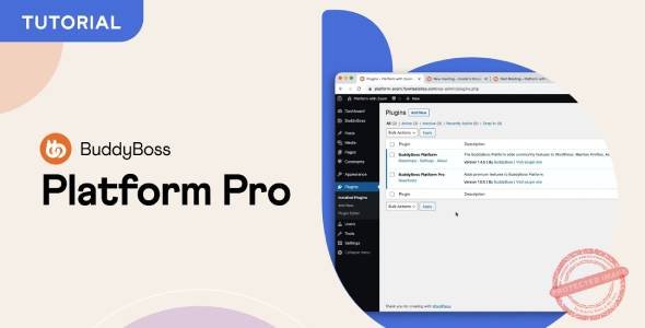 BuddyBoss Platform Pro