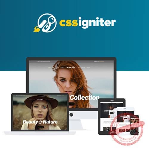 CSS Igniter Amaryllis WordPress Theme