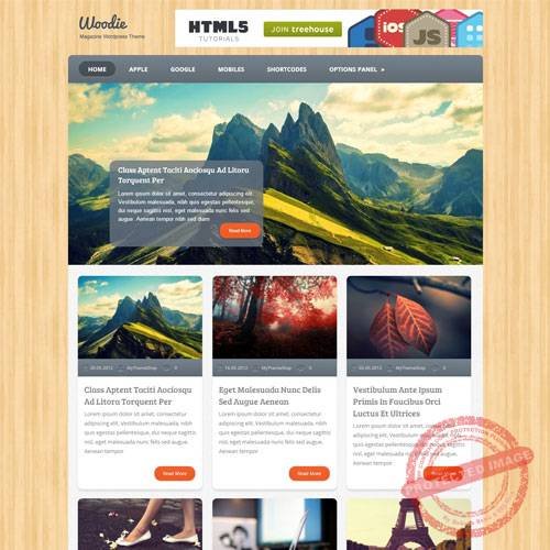 MyThemeShop Woodie WordPress Theme