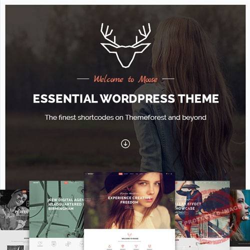 Moose - Creative Multipurpose Theme