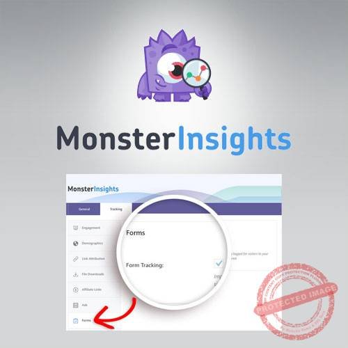 MonsterInsights – Forms Tracking Addon