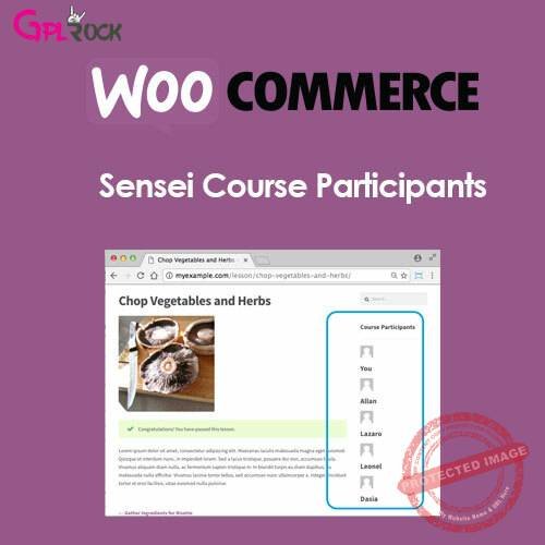 Sensei Course Participants